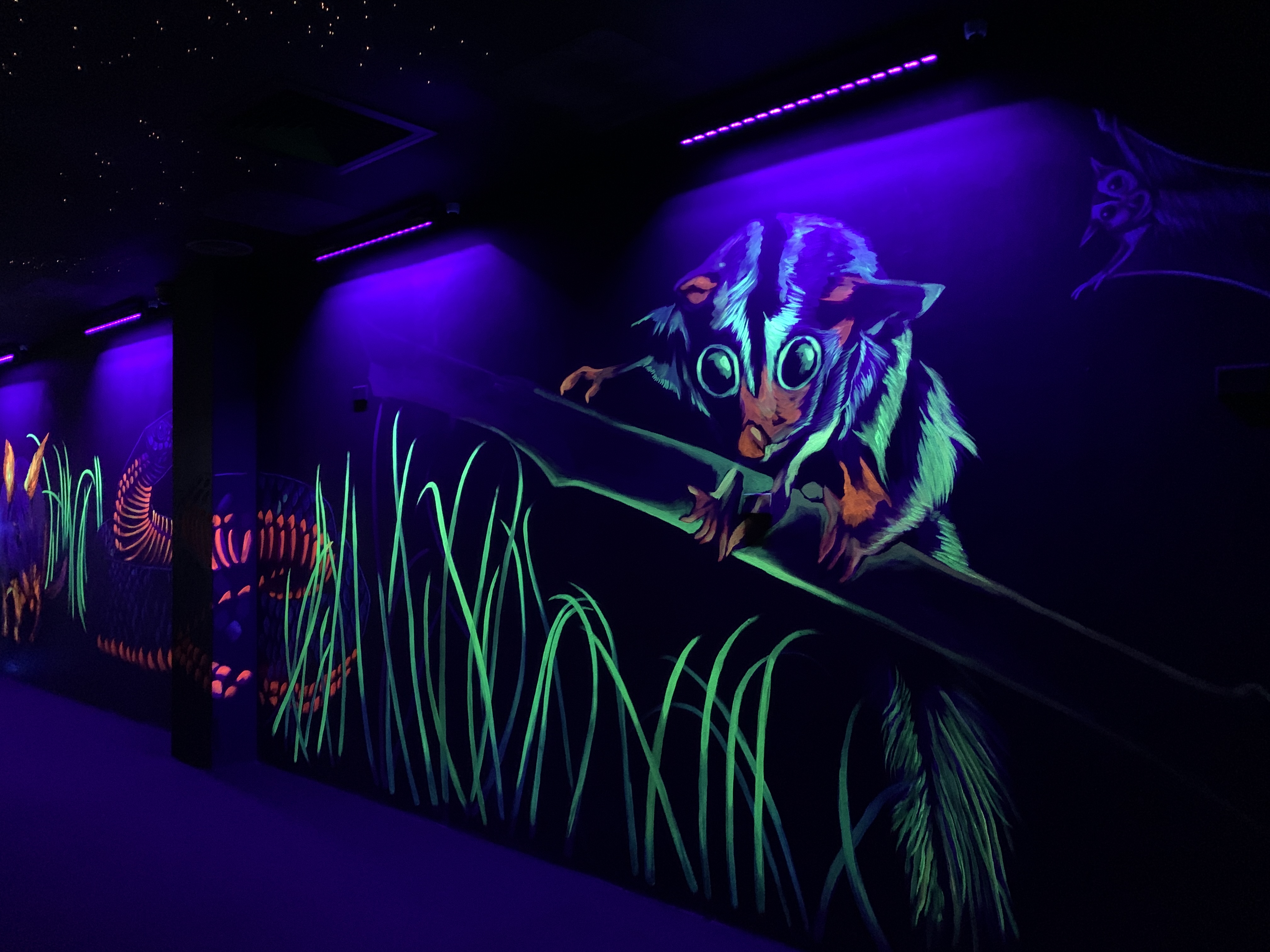 glow in the dark painting of possum