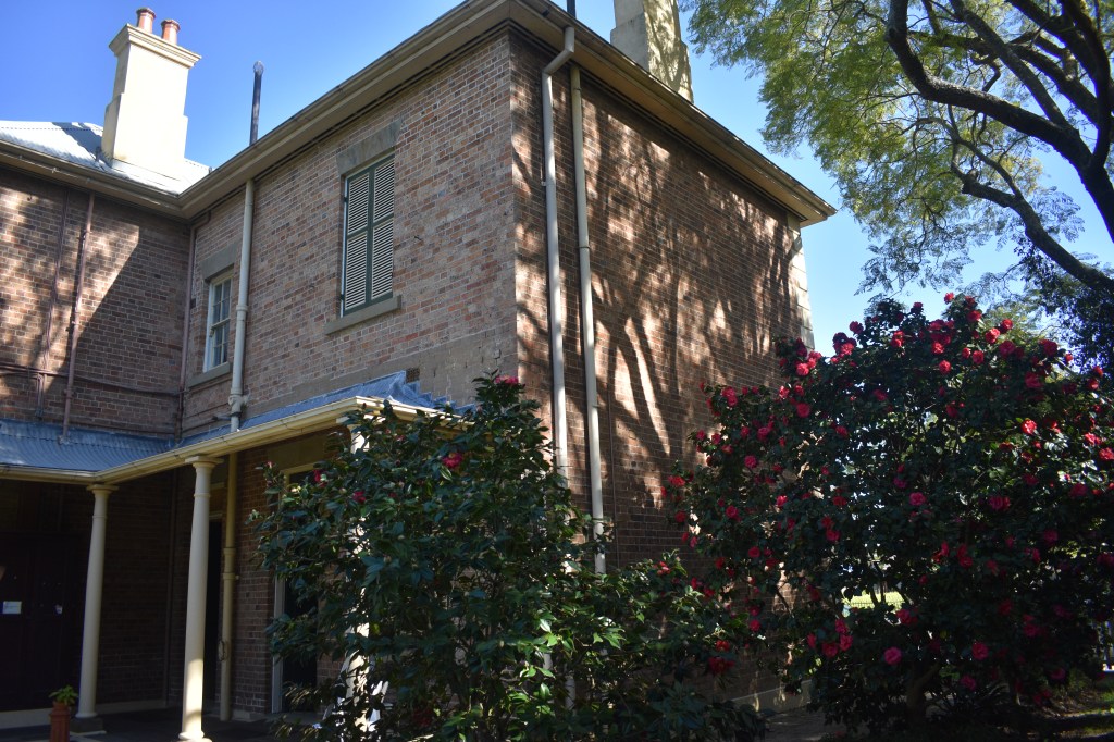 brick house with rose bush