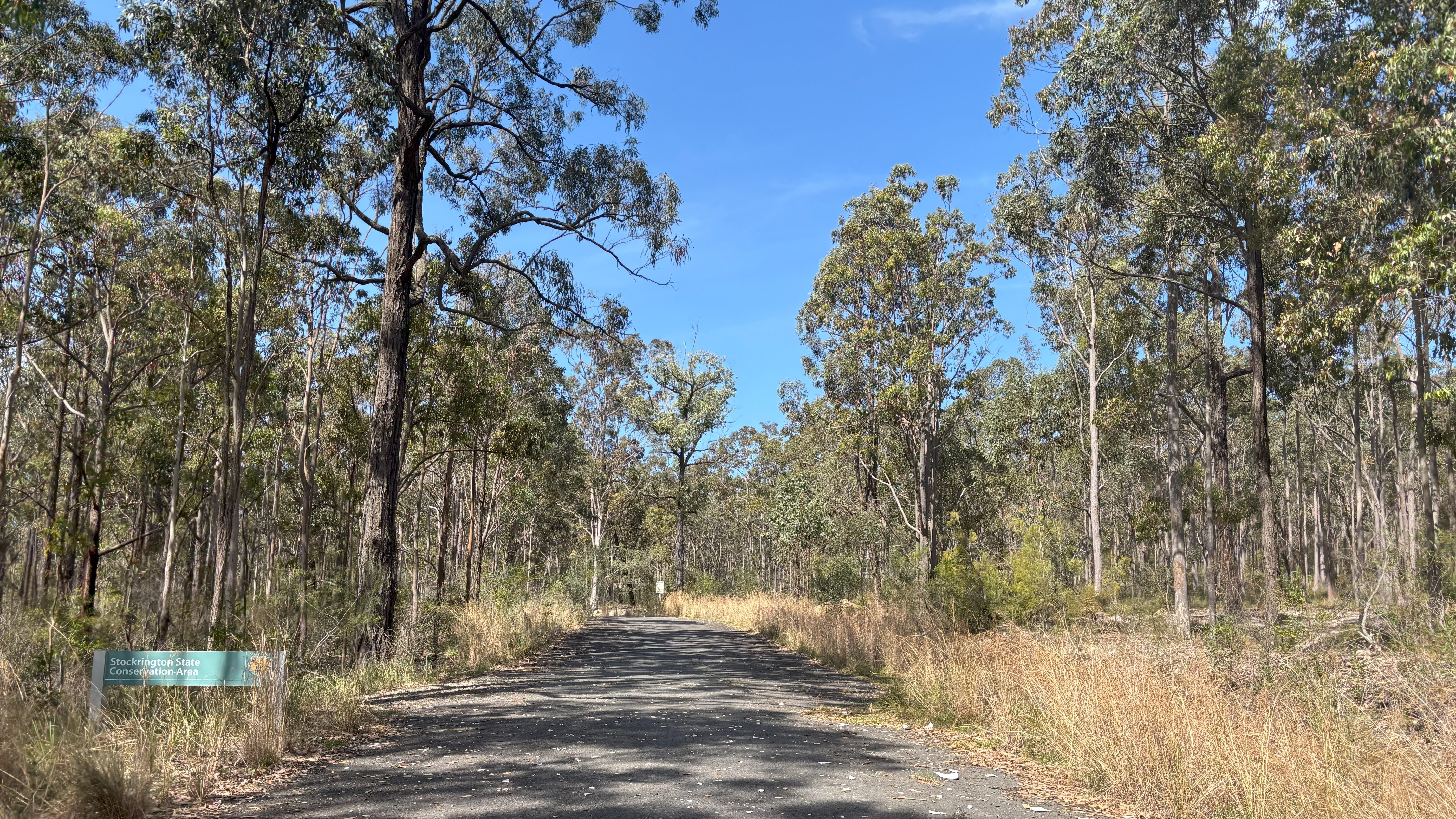 walking path in the bush