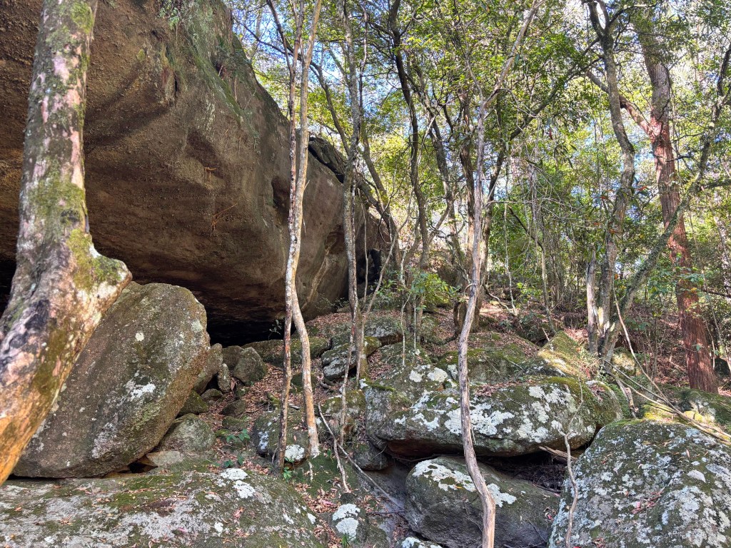 rocky cave in bush