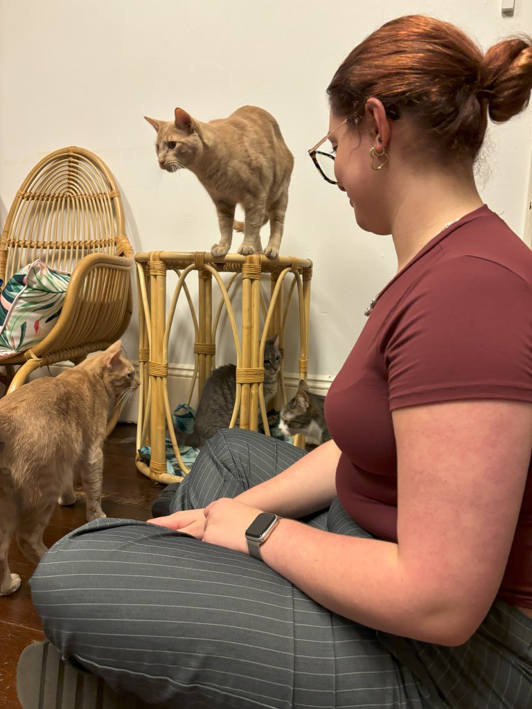 girl sitting with many cats
