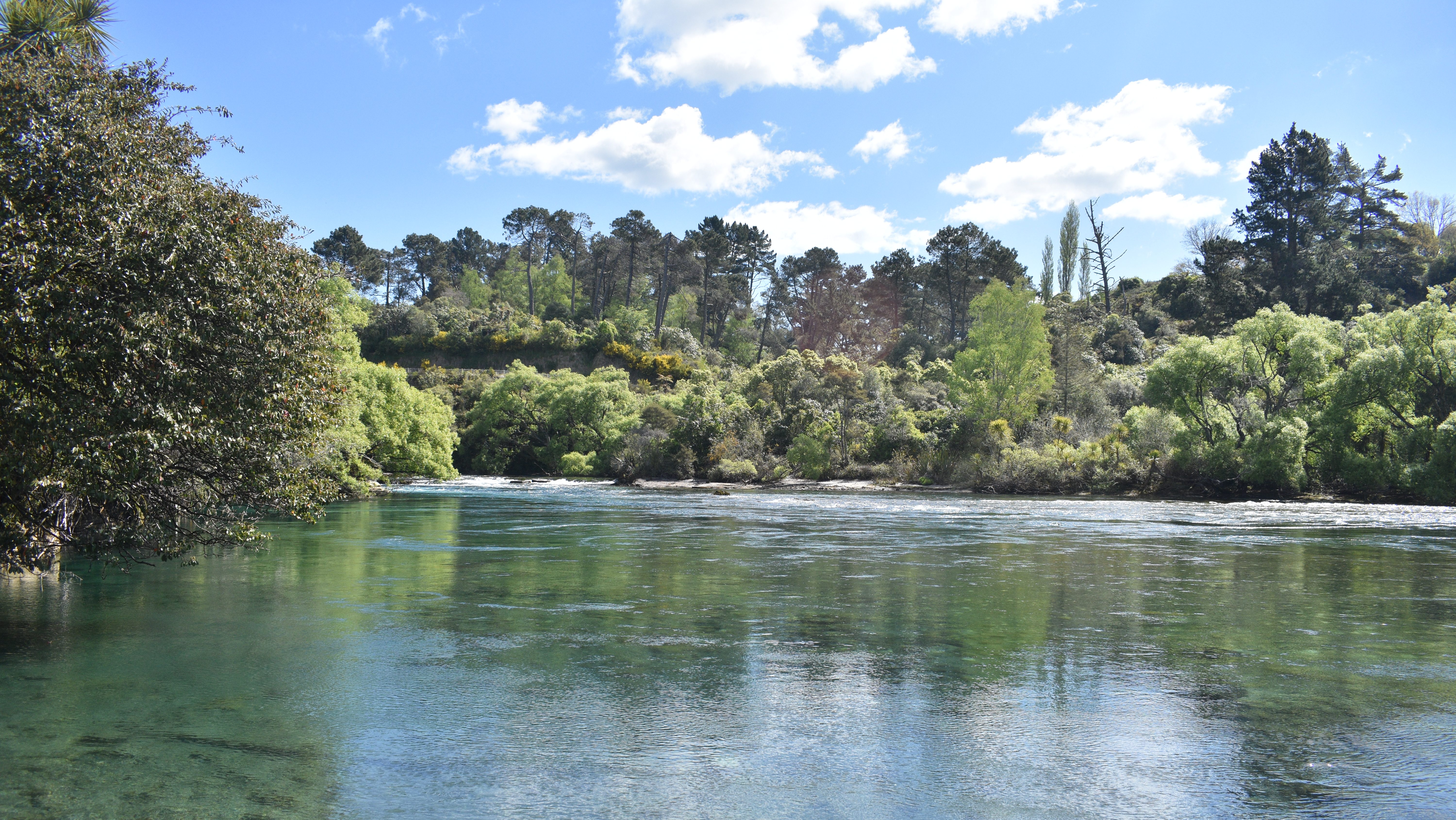 calm river among forest