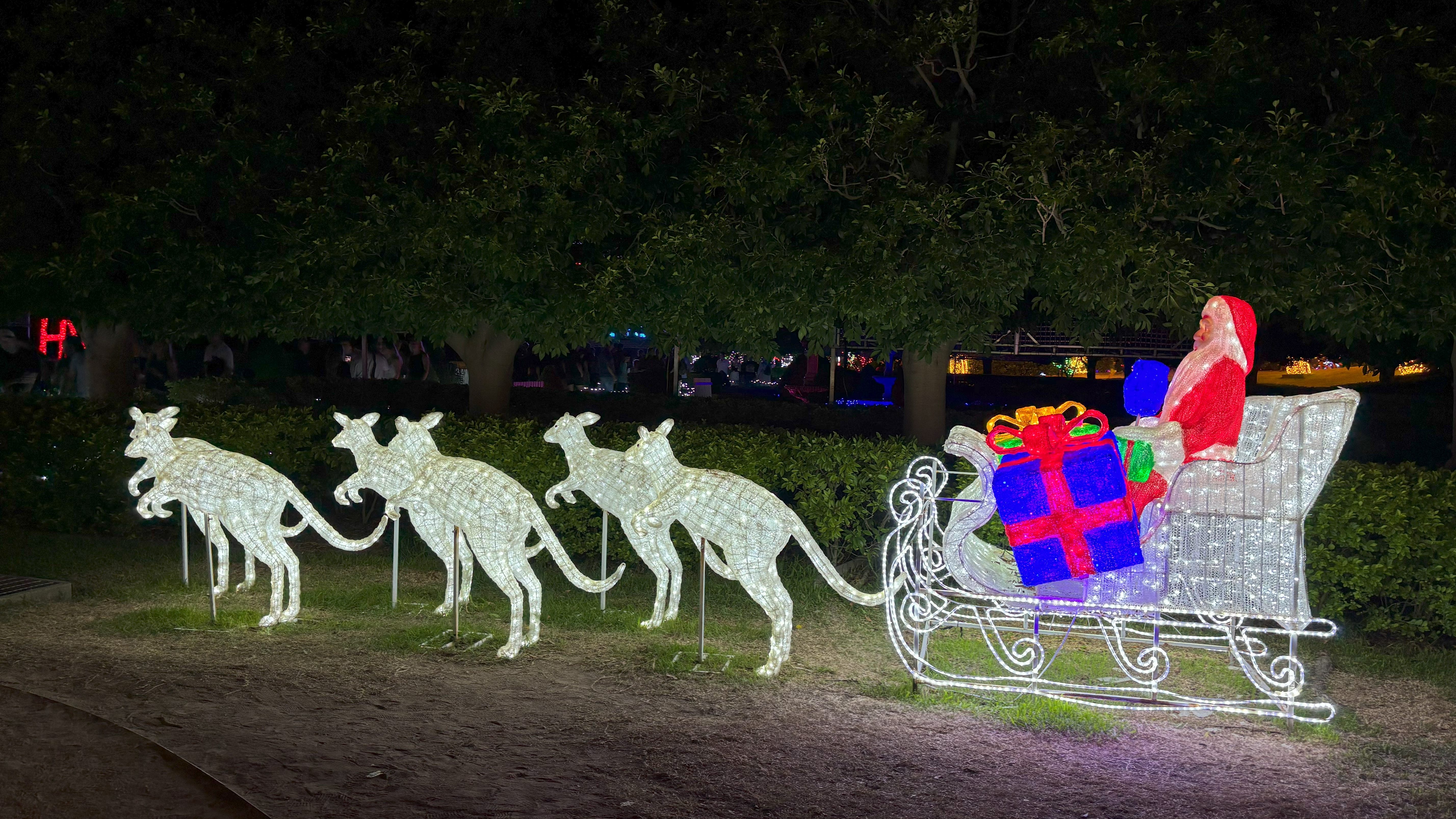 kangaroos pulling Santa sleigh light display