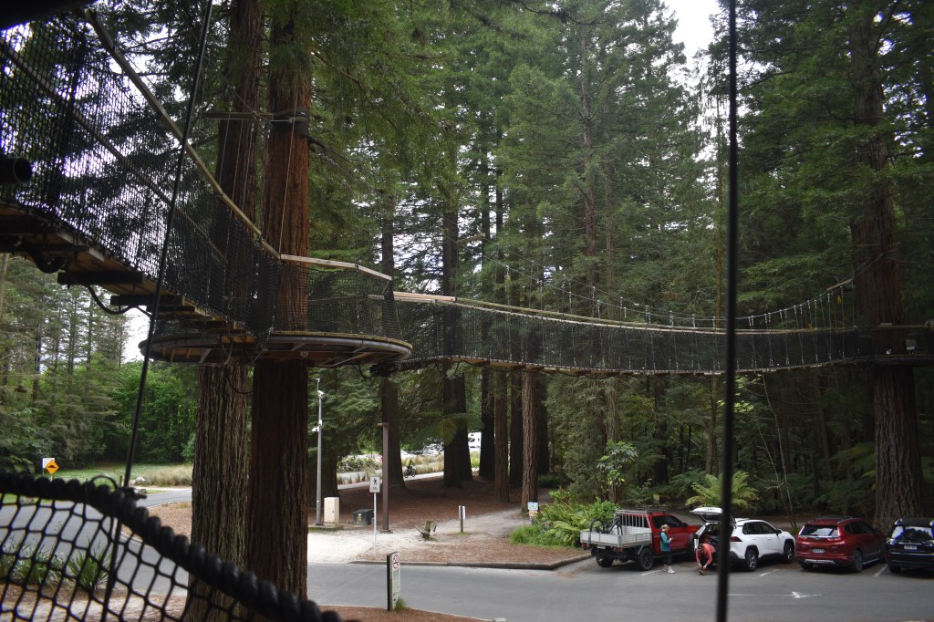 tree walk bride over car park