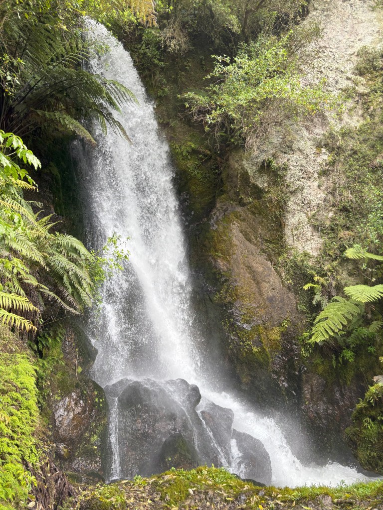 waterfall in rainforest