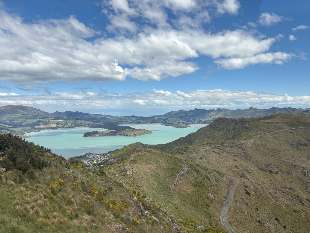lookout from gondola carriage over Lyttelton Harbour