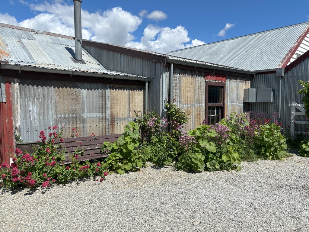 back yard garden of old store