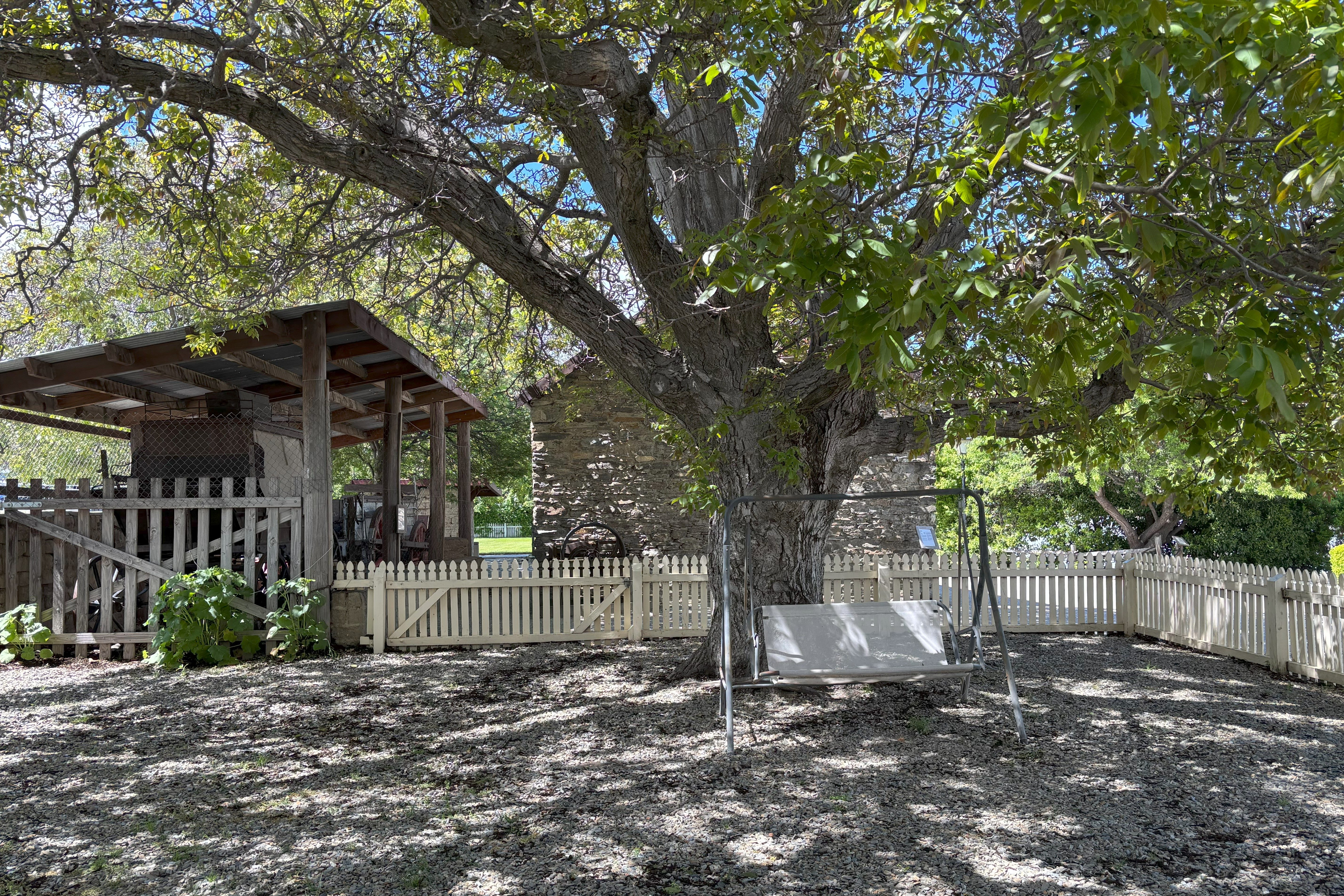 historic yard with large tree and swing chair