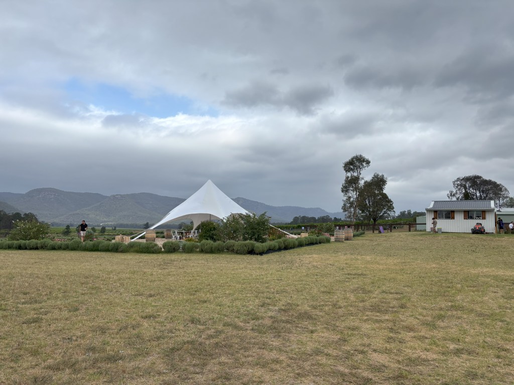 Hunter Lavender Farm serenity square