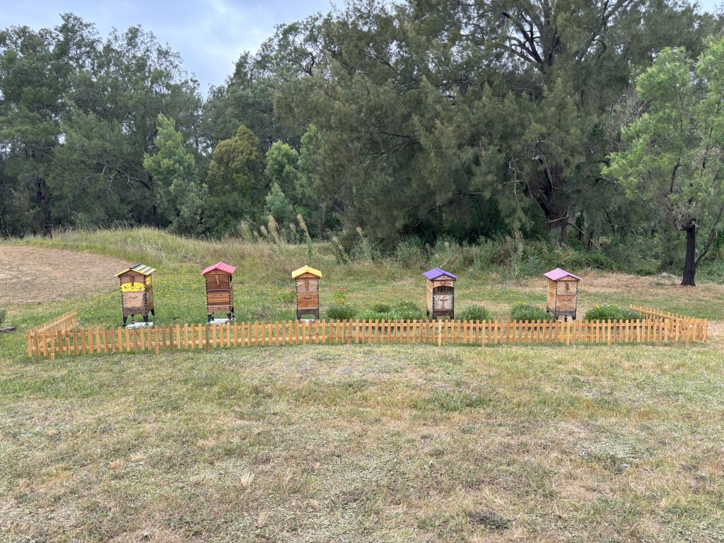 farm bee hive apiary