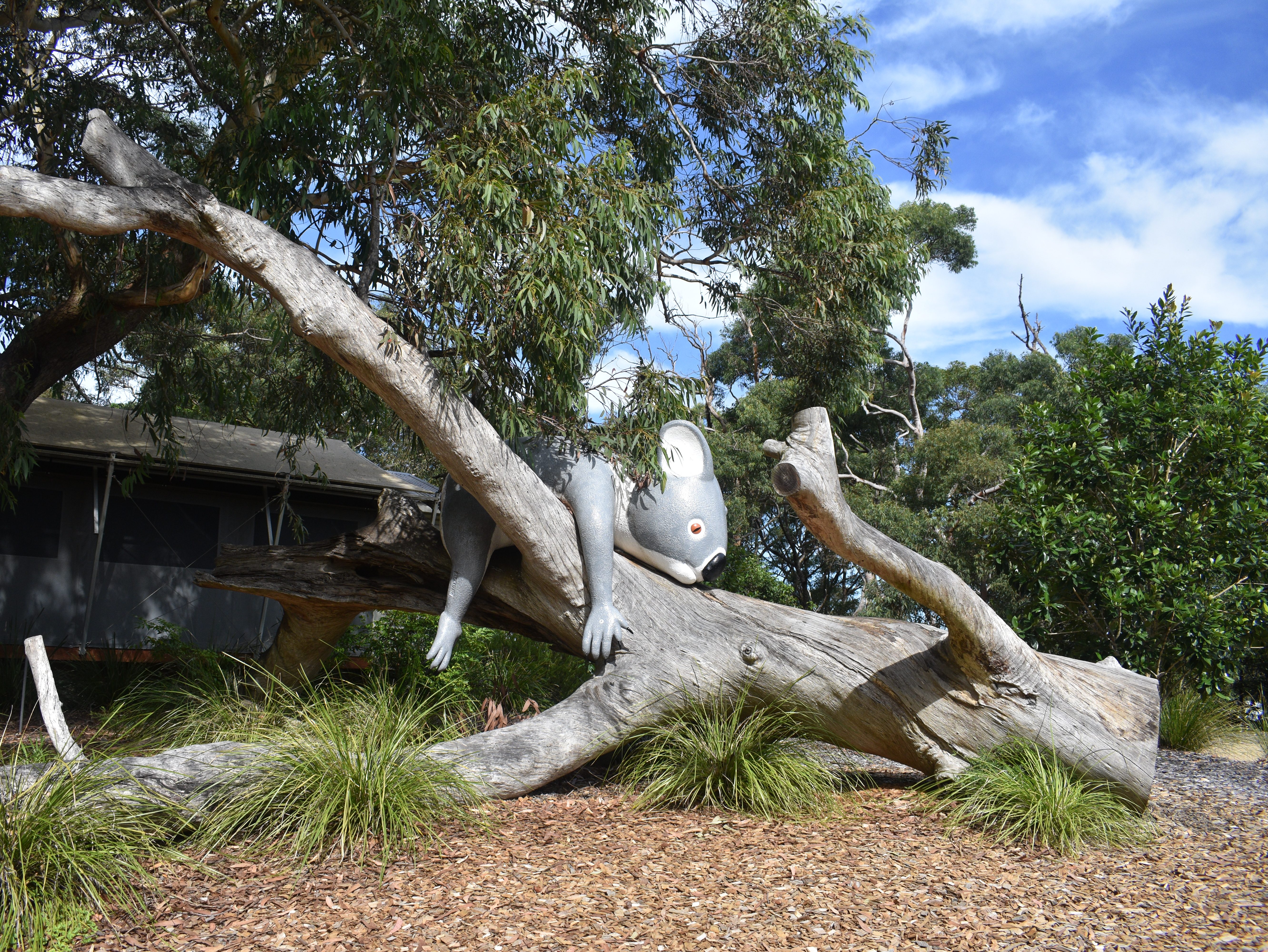 koala statue hanging from tree branch