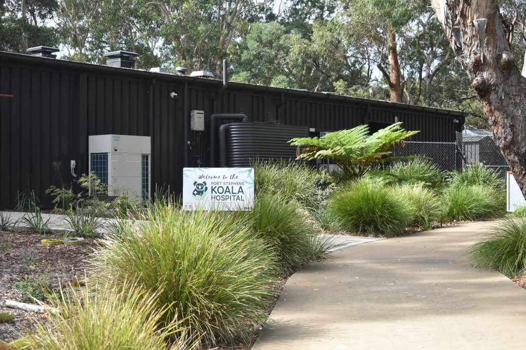 Port Stephens Koala Hospital