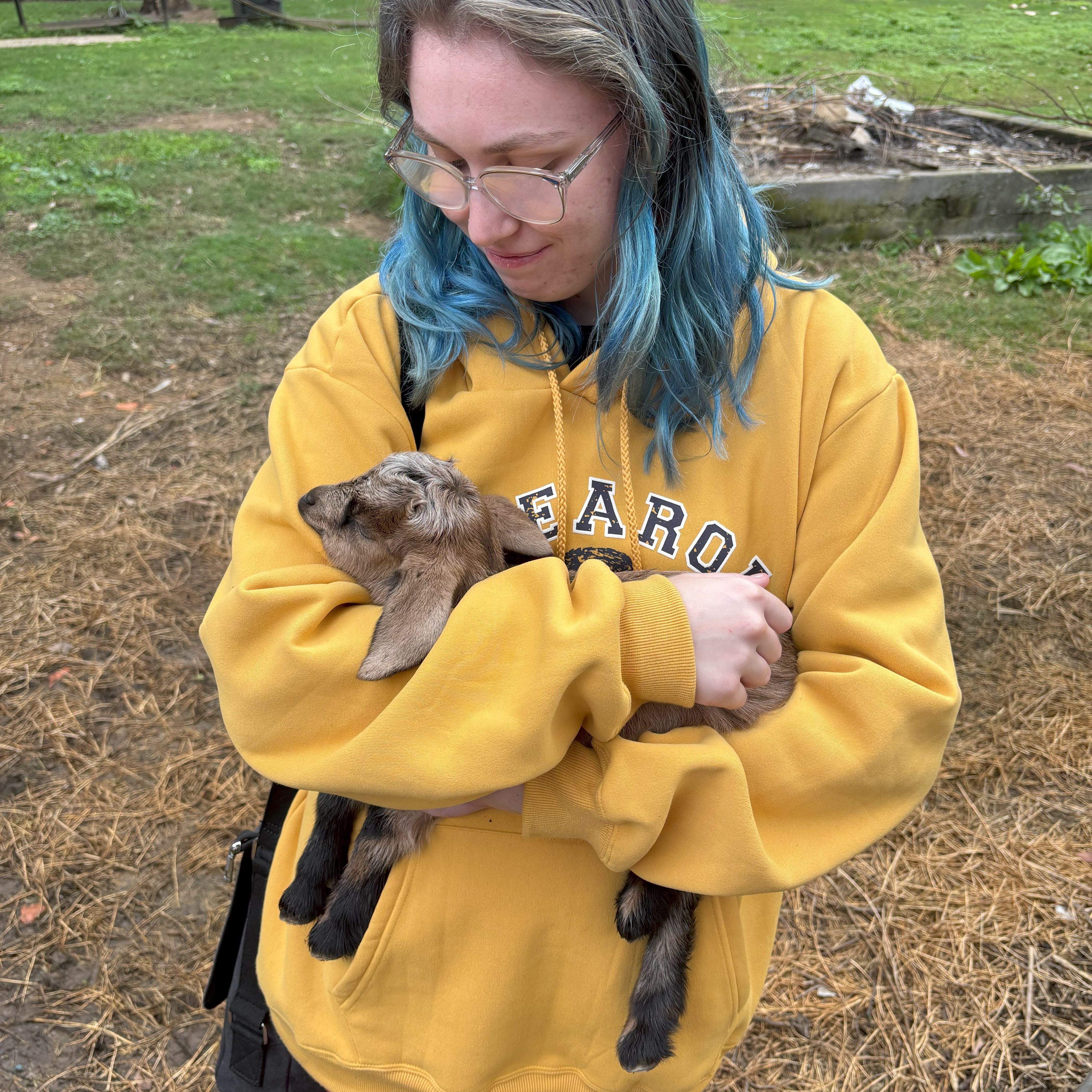 blog owner holding baby goat