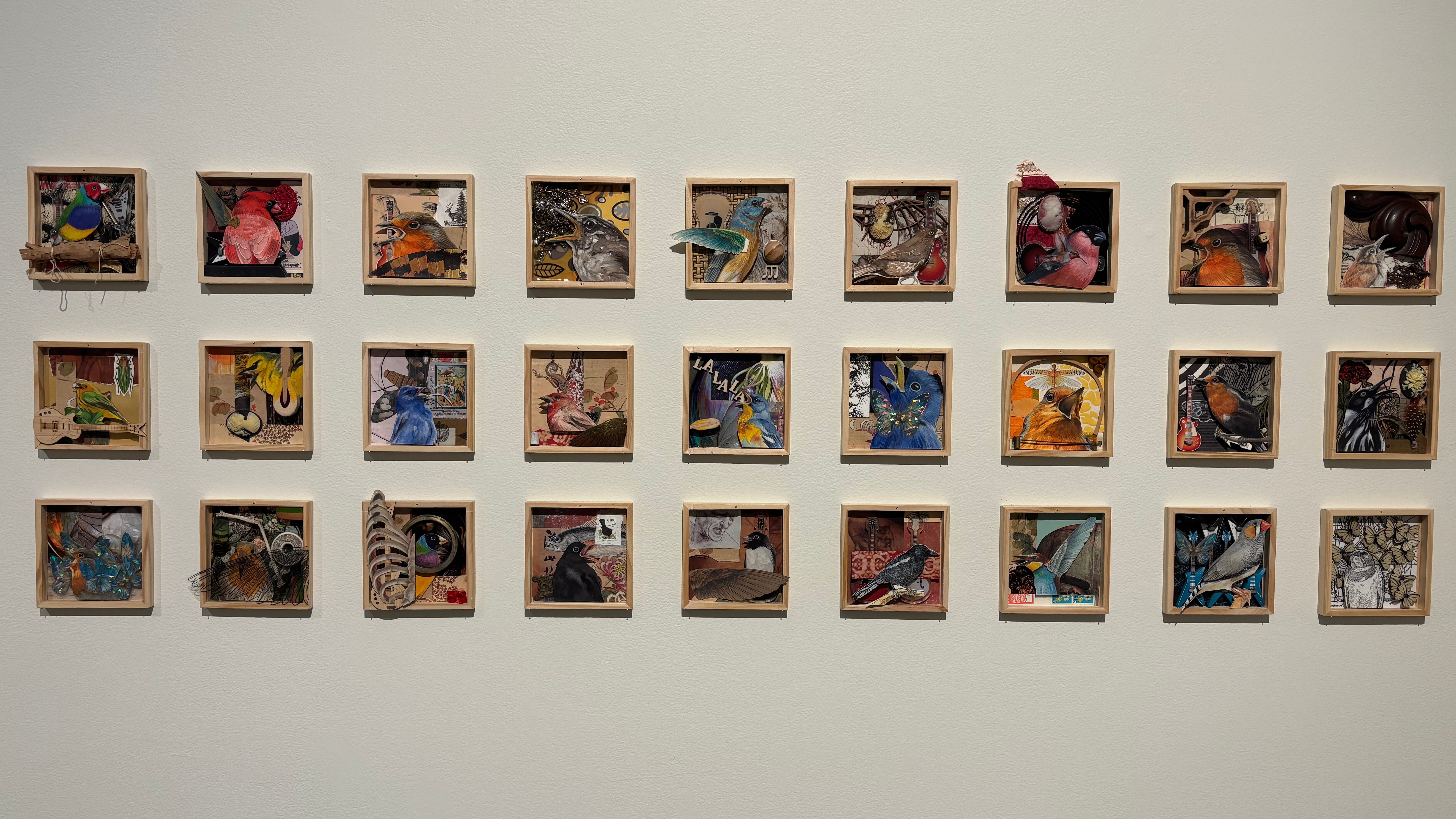 Trevor Weekes mini collages of birds