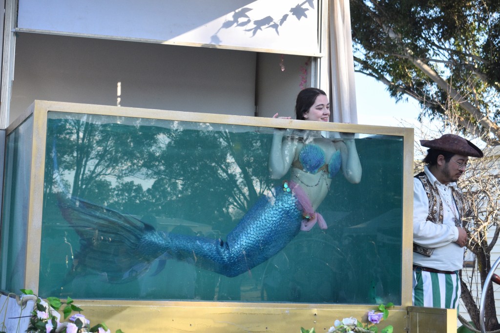 lady dressed as mermaid at ren faire 