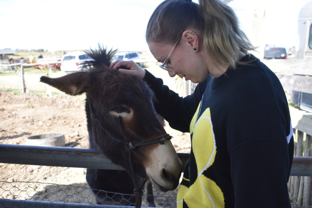 author petting donkey at farm